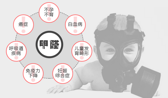 常見(jiàn)的“除甲醛”方法有哪些呢？有什么優(yōu)缺點(diǎn)？
