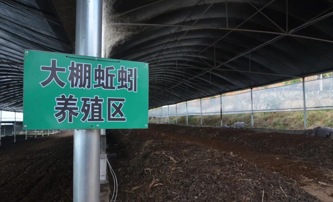 潔匠凈化·的凈工業(yè)除臭劑_的凈工業(yè)除臭劑高效治理蚯蚓養殖惡臭異味大、牛糞味濃