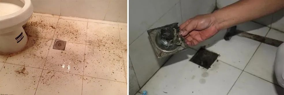 家里衛生間老有異味，潔匠凈化教您如何解決難聞的臭味.jpg