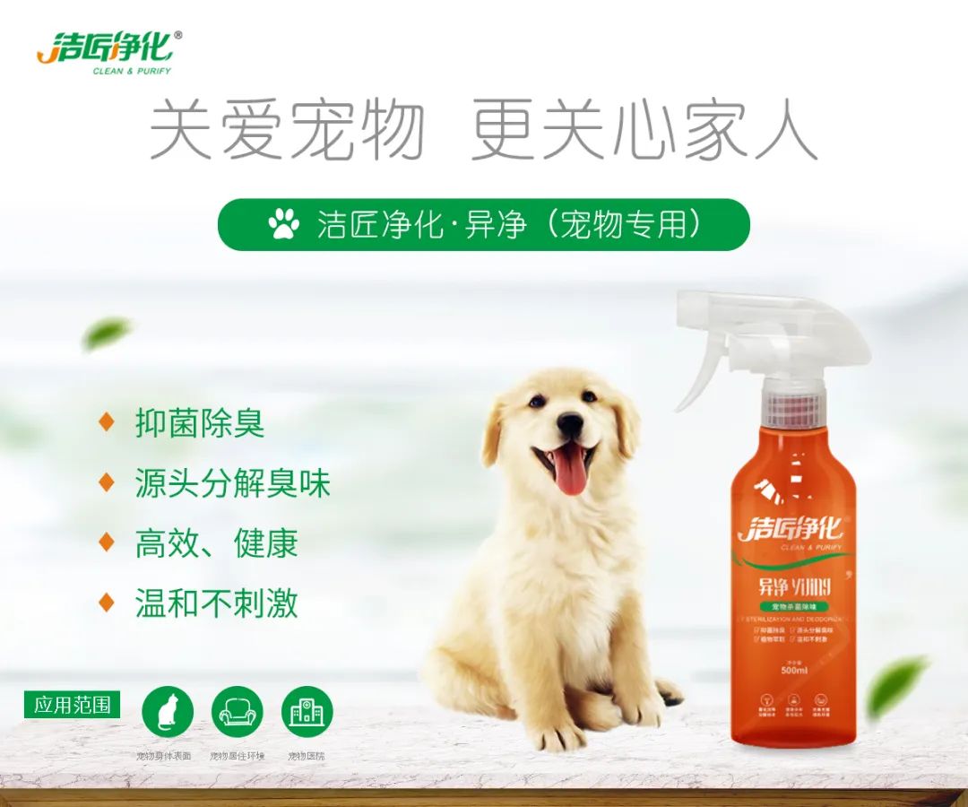 寵物氣味彌漫整個(gè)屋子，潔匠凈化教您如何除味