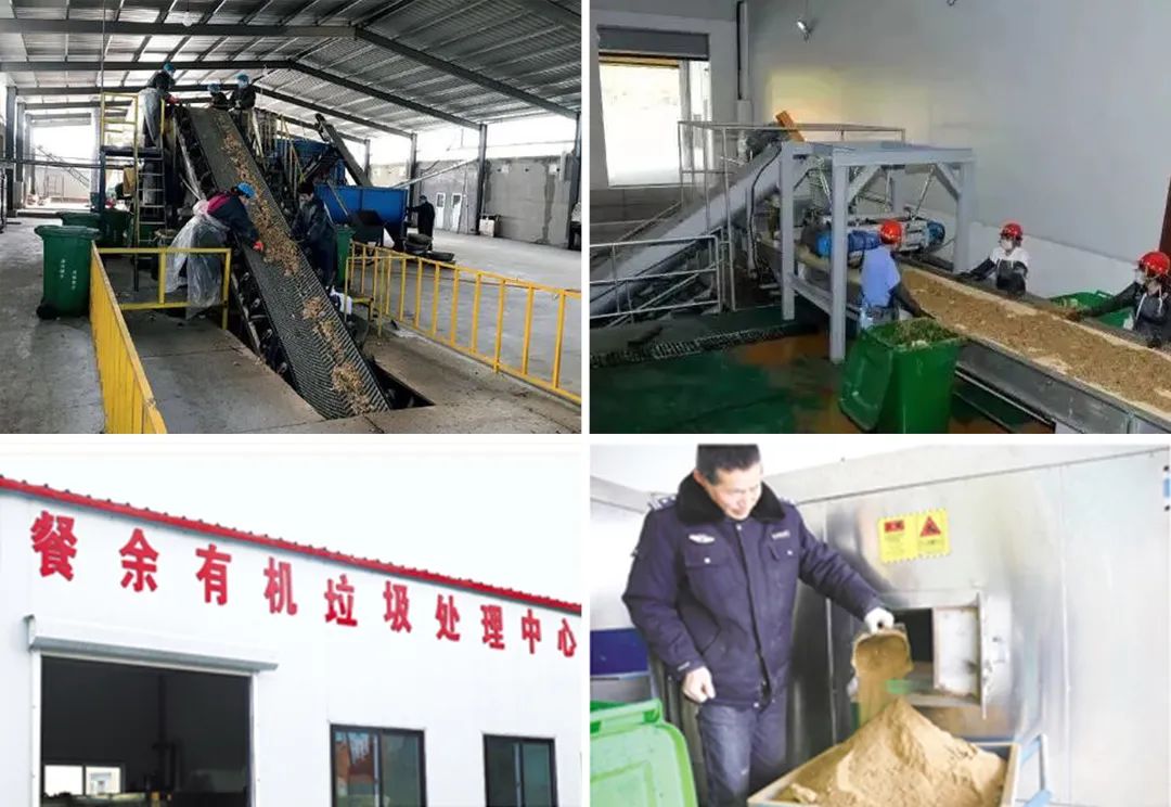 餐廚垃圾的不當處理已成為致霾致癌的一個(gè)重要成因.jpg