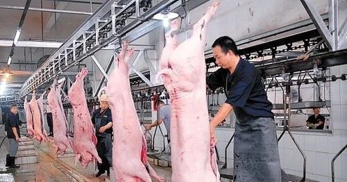 屠宰場(chǎng)臭氣影響周邊環(huán)境？解決辦法在這里.jpg